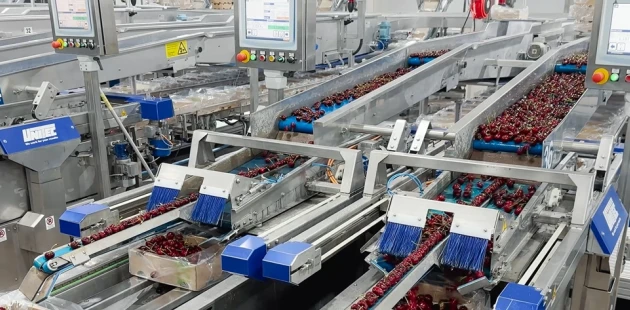 Niverplast | 7 CherrySeals running 24/7
