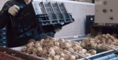 Bulbes à fleurs | Niverplast