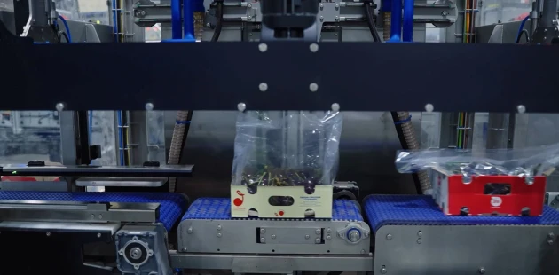 Fruti Zano Cherry packaging automation